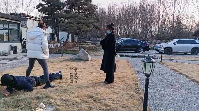 汝野户外遛狗爬行/清理脏鞋子双视角版 JS241230-19