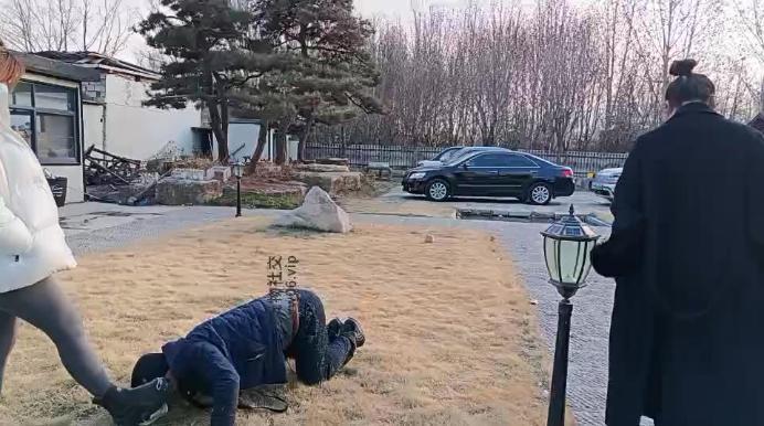 汝野户外遛狗爬行/清理脏鞋子双视角版 JS241230-19