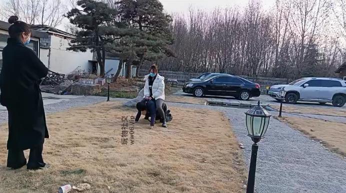 汝野户外遛狗爬行/清理脏鞋子双视角版 JS241230-19