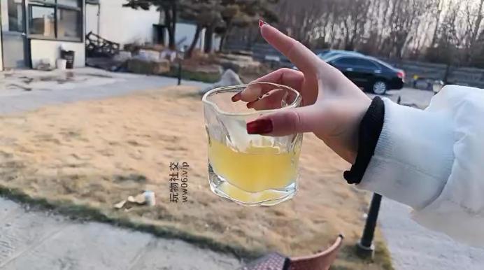 汝野户外遛狗爬行/清理脏鞋子双视角版 JS241230-19