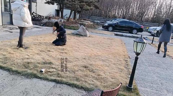 汝野户外遛狗爬行/清理脏鞋子双视角版 JS241230-19