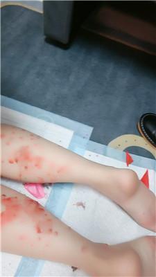 兔兔m滴蜡女神母畜 JS241230-33