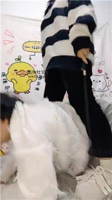 南宁木木小白鞋白袜踩/坐脸窒息 bf48868