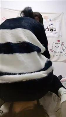 南宁木木小白鞋白袜踩/坐脸窒息 bf48868