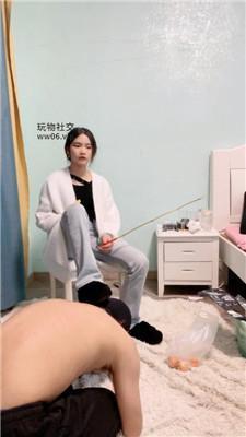 小凤梨双S-重刑之下出乖狗 bf48780