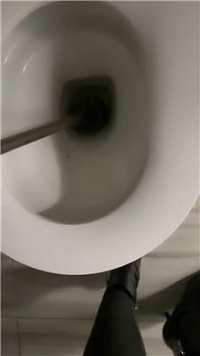 辣姐脚下喂食人形犬 JS241226-49