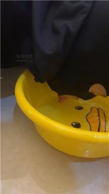 七七小主双S-轮流舔素人学生主的脏鞋/喝洗脚水 JS241227-16