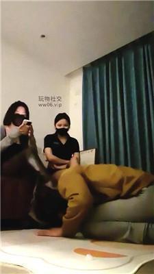 喵酱紫双S-高跟丝袜做刑具虐双视角版 bf48745