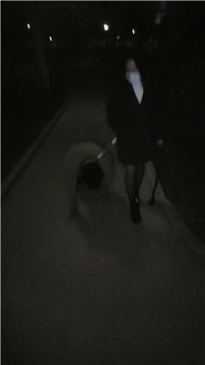【爱秀套图】【沐颜】深夜户外遛狗踩踏处刑bf49145