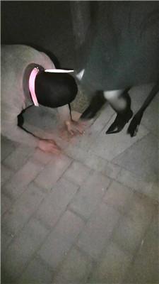 沐颜深夜户外遛狗踩踏处刑 bf49145