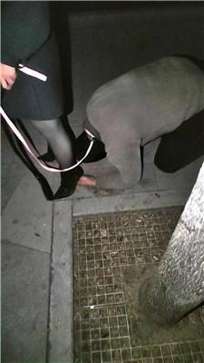 沐颜深夜户外遛狗踩踏处刑 bf49145