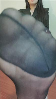 魔仙集中地T女目    250107-8