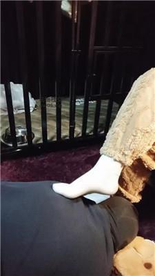 尊主毛拖鞋捂白袜强迫舔 JS250108-8