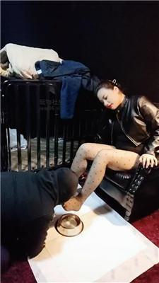 尊主狗盆喂食/高跟黑丝狂舔 JS250107-8