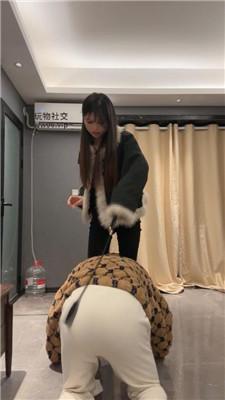 狗哥小白鞋白袜踩虐/转胯鞭打/坐脸窒息 bf49037