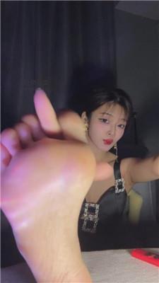 伽萝骰子任务    250103-5