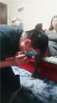 诺主臭脚丫啃吃死皮/黑丝高跟踩虐 bf49440