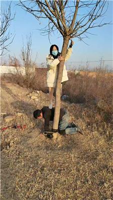 沐颜户外-遛狗驯化爬行/踩踏双视角版 bf49364