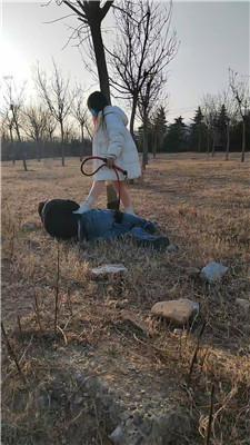 沐颜户外-遛狗驯化爬行/踩踏双视角版 bf49364