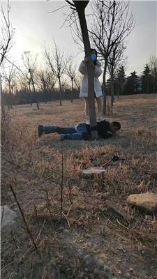 沐颜户外-遛狗驯化爬行/踩踏双视角版 bf49364