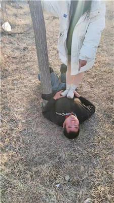 沐颜户外-遛狗驯化爬行/踩踏双视角版 bf49364