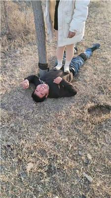 沐颜户外-遛狗驯化爬行/踩踏双视角版 bf49364