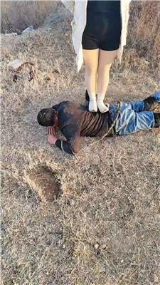 沐颜户外-遛狗驯化爬行/踩踏双视角版 bf49364