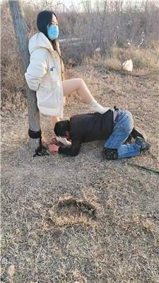 沐颜户外-遛狗驯化爬行/踩踏双视角版 bf49364