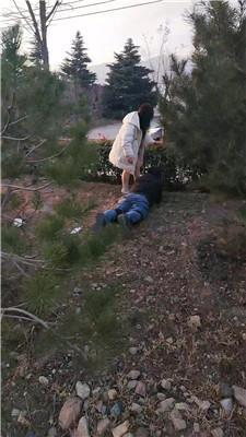 沐颜户外-遛狗驯化爬行/踩踏双视角版 bf49364