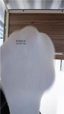 上海汤圆白袜    250123-19