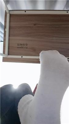 上海汤圆白袜    250123-19