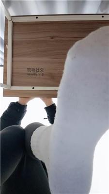 上海汤圆白袜    250123-19