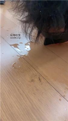 柔儿公主连环踢裆/舔地板圣水 JS250122-29