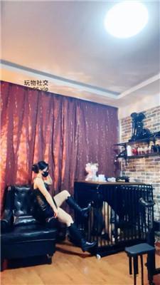 冷颜囚禁狗笼/强制闻长靴白袜 JS250122-18