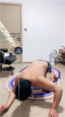 南月女神重刑-藤条重度鞭打 JS250122-12