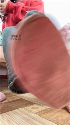 黑兔继续设    250127-26