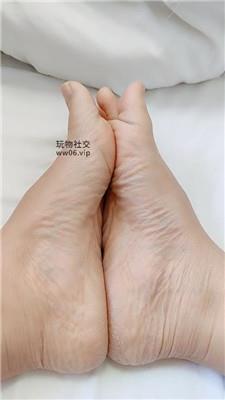 霸王花灯    250213-3