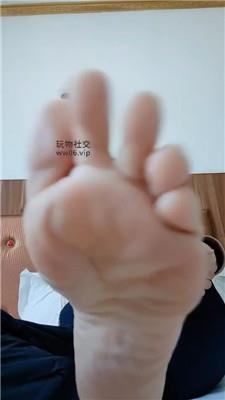 霸王花灯    250213-3