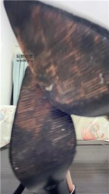 兔兔酱灰丝早些寸    250213-15