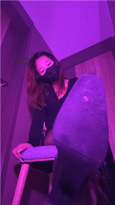 猫猫大人最喜欢的灯来喽    250208-9