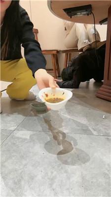 乔伊双S-餐桌下脏鞋蹂躏踩虐 JS250207-12