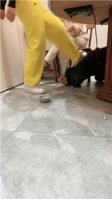 乔伊双S-餐桌下脏鞋蹂躏踩虐 JS250207-12