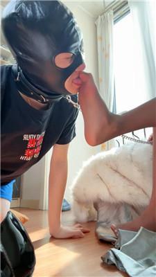 苒溪强迫抖M摄影师做狗 bf50804