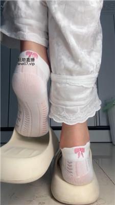 酒鸽灯    250224-5