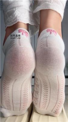 酒鸽灯    250224-5