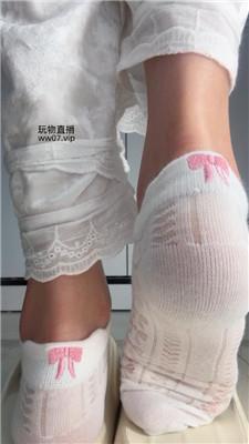 酒鸽灯    250224-5