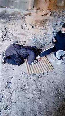 营S双S-户外虐打偷拍狗 JS250222-8