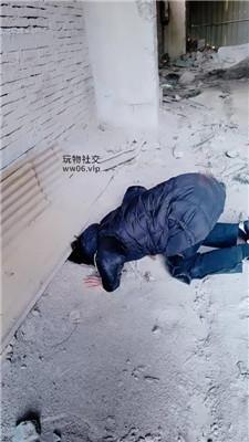 营S双S-户外虐打偷拍狗 JS250222-8