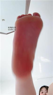 小猫是S高跟鞋羞辱    250220-27