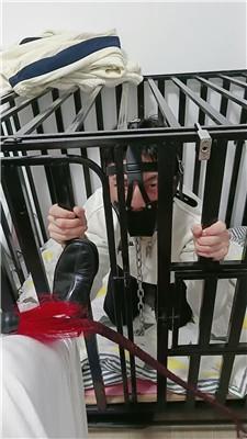 薇薇五花大绑骑马训化 JS250219-1